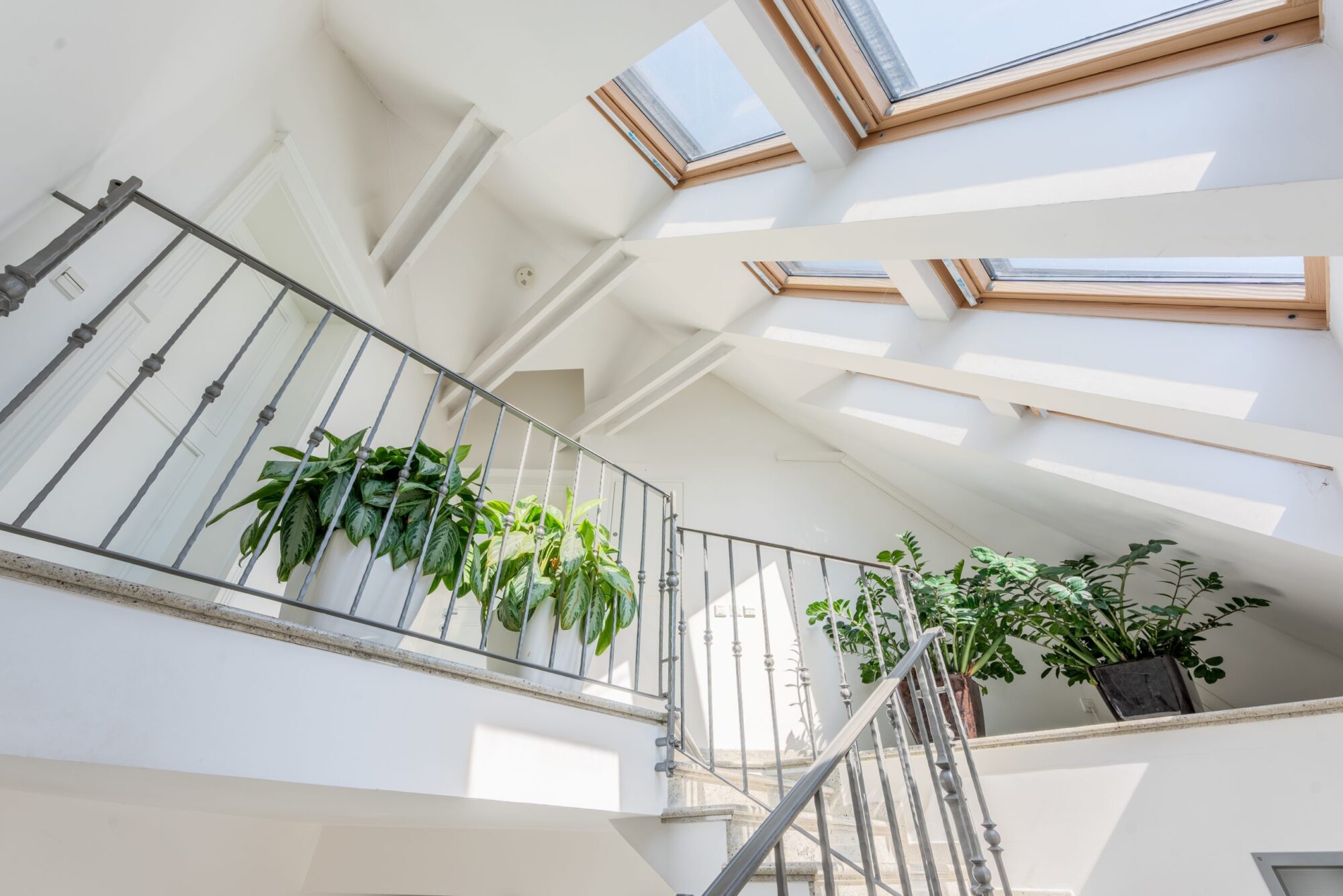 Bright staircase landing with skylights and plants