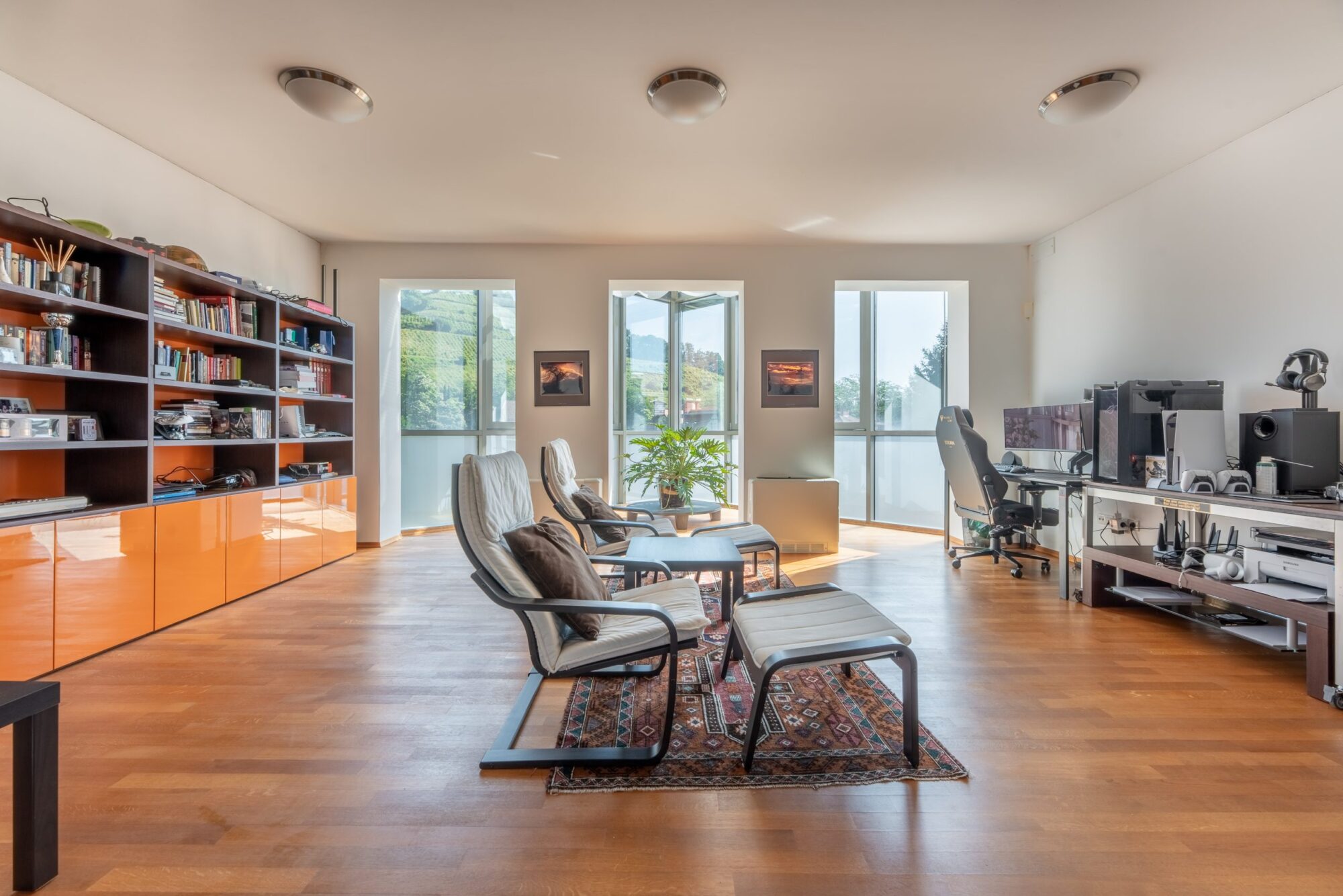 Spacious living room with shelves and lake view