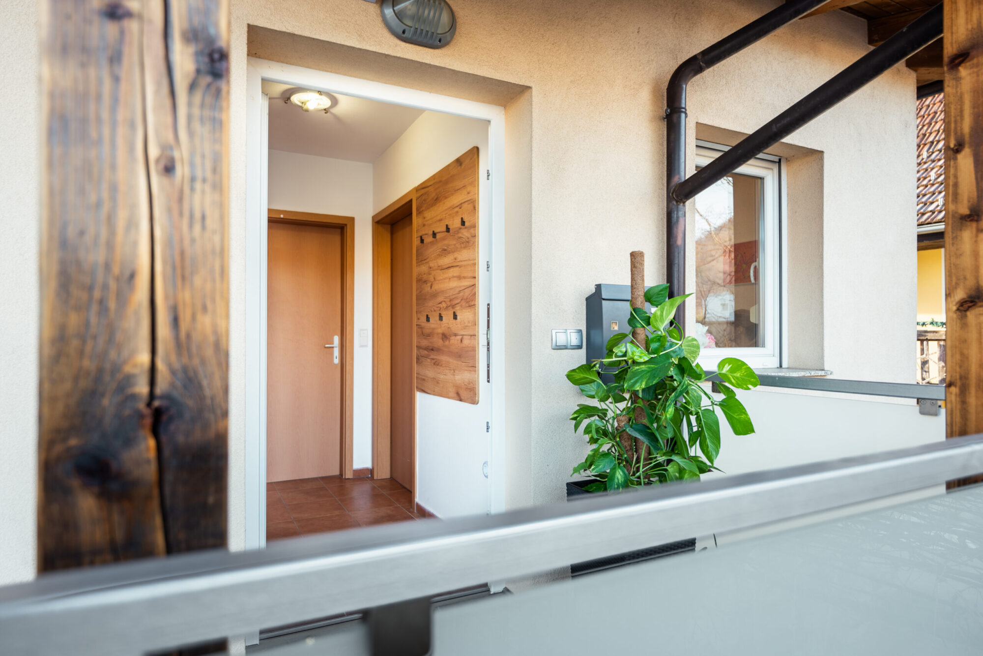 Entrance balcony with wooden door and plant