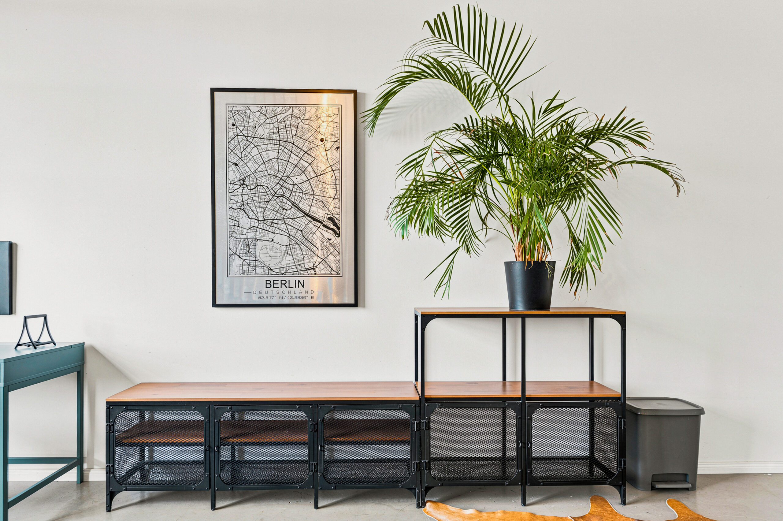 Clean hallway with plant display and industrial shelving unit