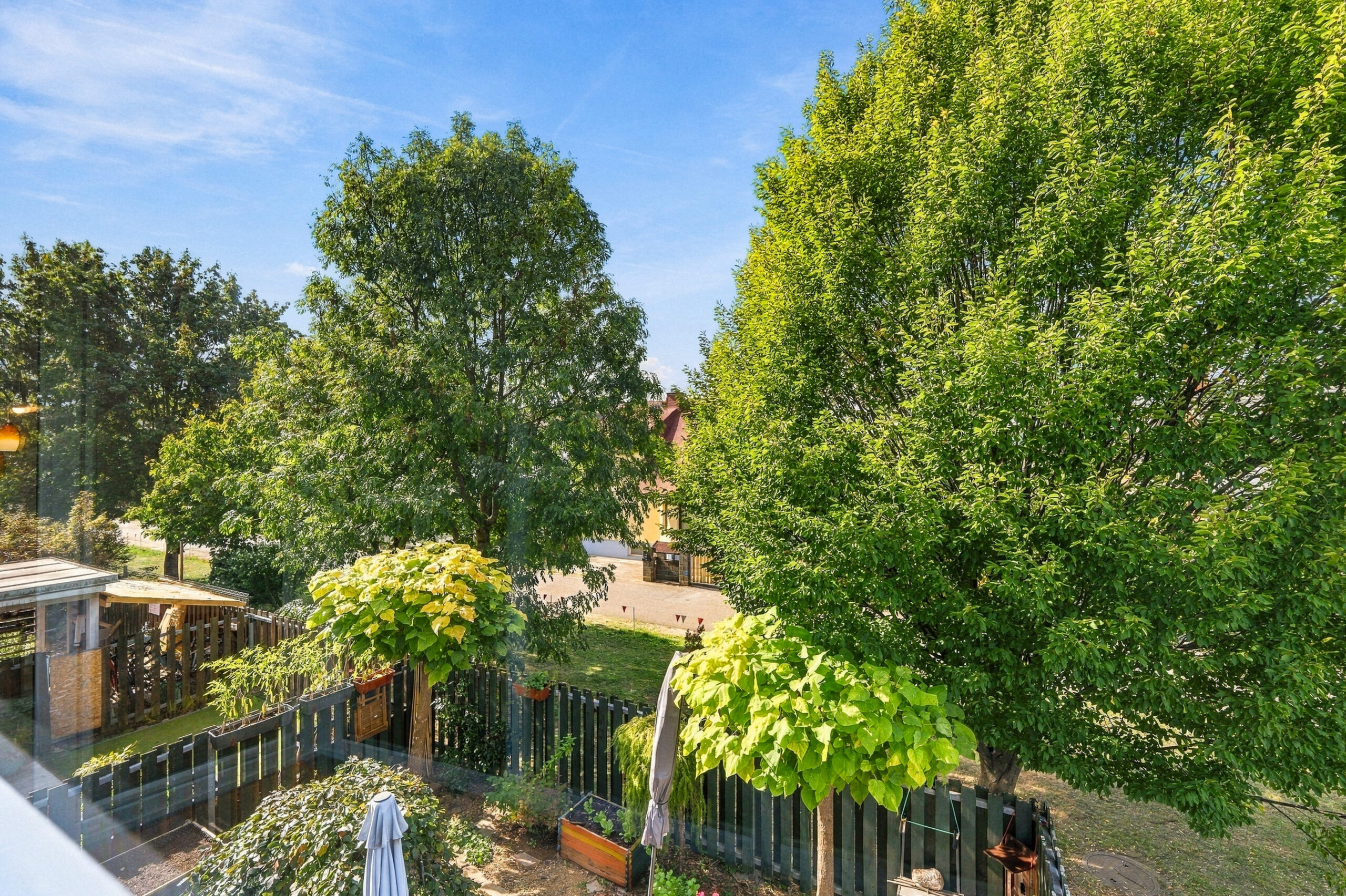 Garden view with trees and greenery from above